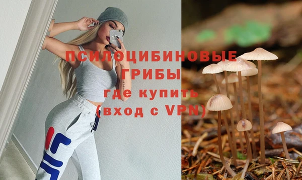 круглые Аркадак